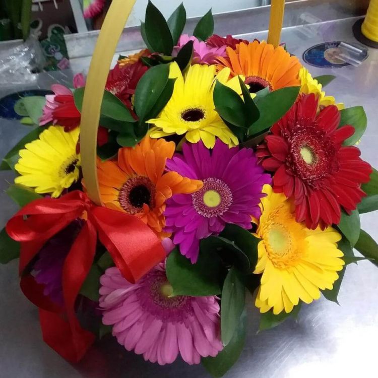 Улыбка радуги от 10 900 руб.